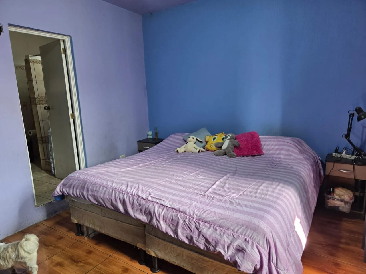 VENDO CASA ZONA 1 CERCA MERCADO SAN MARTIN — Casa en Venta en Zona 1, Guatemala, Ciudad — foto 6 de 11