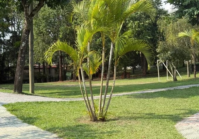 Casa en venta, Residenciales San Jorge, zona 11 — Casa en Venta en San Jorge, Zona 11, Guatemala, Ciudad — foto 14 de 15