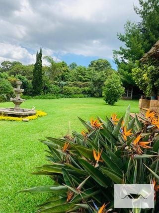 EN VENTA O RENTA CASA UN NIVEL KM 23 CAES CASA & CAMPO — Casa en Venta en km 21-25, Carretera a El Salvador, Guatemala, Ciudad — miniatura 1 de 11
