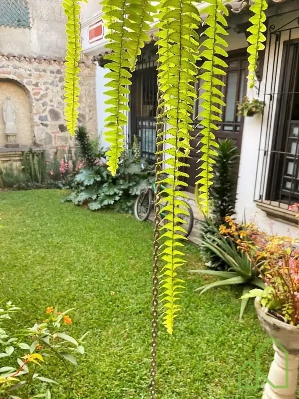 Propiedad en Venta en San Pedro El Panorama, Antigua Guatemala — Casa en Venta en Antigua, Sacatepéquez — foto 8 de 16