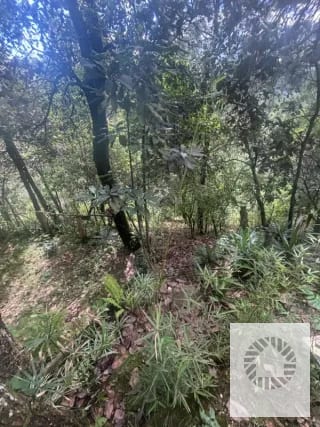 VENDO CABAÑA BOSQUES DE TECPAN — Casa en Venta en Tecpán, Chimaltenango — miniatura 13 de 13
