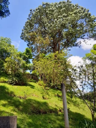 Casa en Venta San Jorge Muxbal Calle Liquidambar — Casa en Venta en Muxbal, Guatemala, Ciudad — miniatura 7 de 15