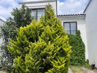 ACOGEDORA CASA EN CONDADO ANTIGUA — Casa en Alquiler en Alotenango, Sacatepéquez — miniatura 6 de 17