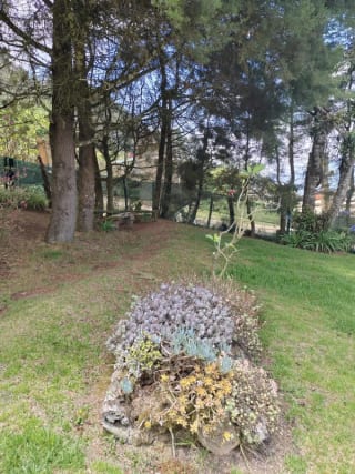 Exclusiva Cabaña en venta, Hobbitenango, Antigua Guatemala — Casa en Venta en Antigua, Sacatepéquez — miniatura 3 de 17